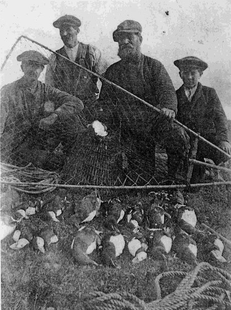 Islanders used different equipment, depending on cliffs and species.  Fowlers, like these in Westray, netted auks and puffins in flight.  Long gone from the Northern Isles, this device is still used in Faroe.