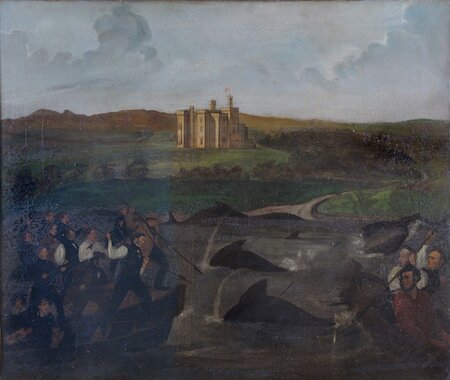 Once the boats had driven the whales into shallow water, the killing began right away before the beasts could turn back.  This striking 1850s scene shows the end of a hunt at Stornoway, as harpooners are ready to strike..