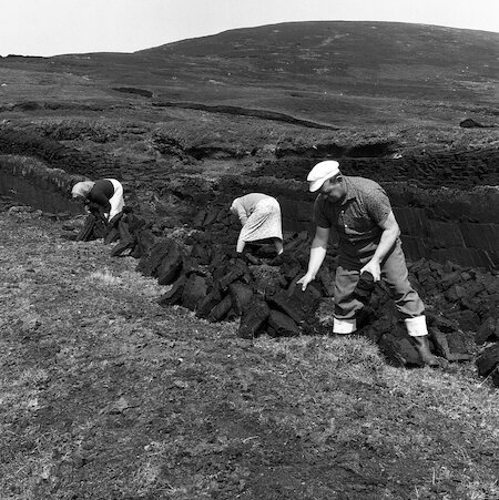 In later times, road travel meant peat banks were developed further away from habitation, often with better moorlands that hadn’t been used in the past. Harry Williamson could drive home to Scalloway in a few minutes after turning his peats.